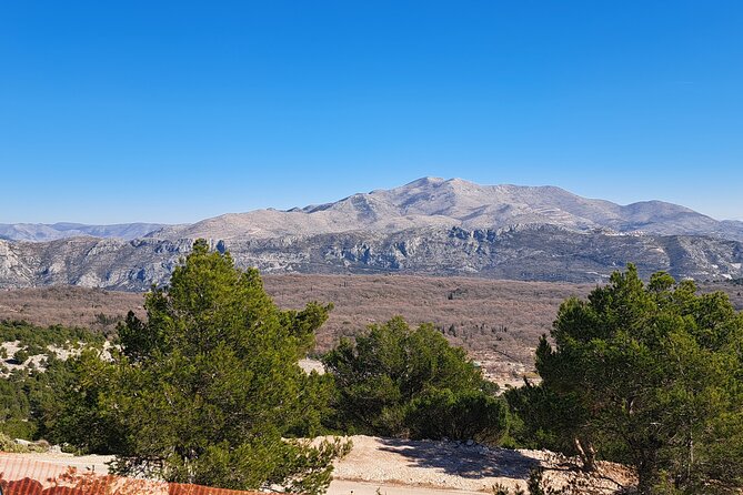 Private Customizable Tour of Croatia Via Minivan with a Guide - What the Guides Add to the Drive