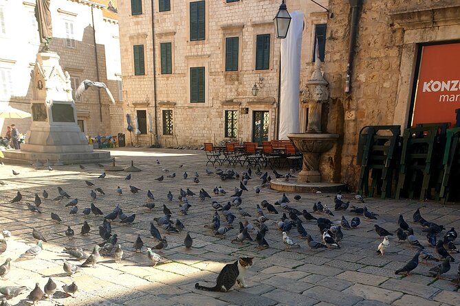 Private Fort Lovrijenac and Dubrovnik City Tour - Finishing at St. Ignatius Church