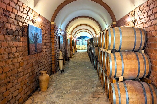 Private Full Day Peljesac Wine Tasting Tour from Dubrovnik - Who will enjoy this day most?