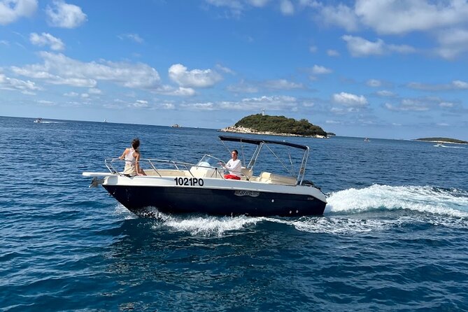 Private Guided Sunset Dolphin Watching in Adriatic Sea - Families, dogs, and practical details
