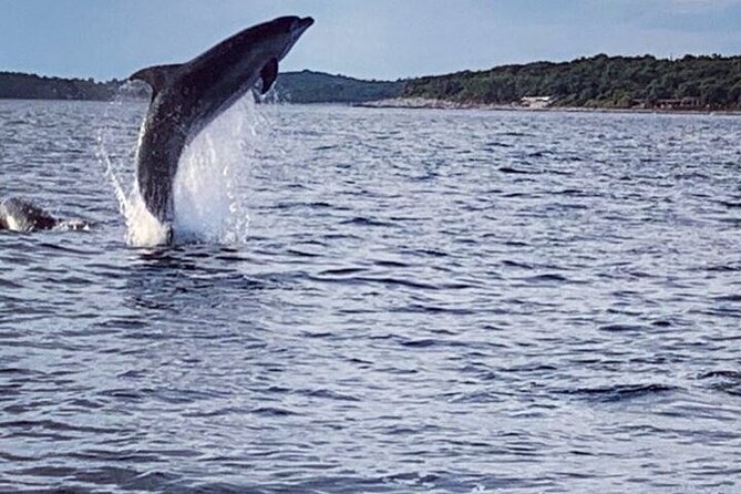 Private Guided Sunset Dolphin Watching in Adriatic Sea - Weather, cancellations, and choosing your date