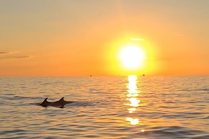 Private Half-Day Boat Excursion in Pula - The first 45-minute swim and snorkeling stop