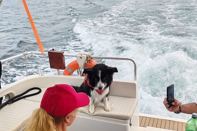 Private Half-Day Boat Excursion in Pula - Is $962.34 good value for a private group?