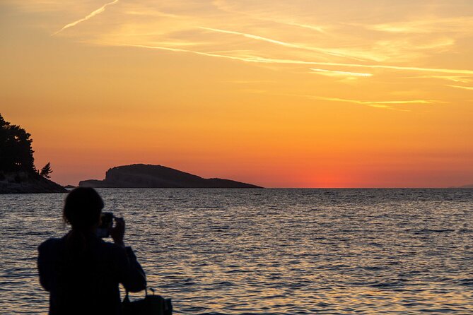 Private Half-Day Speedboat Guided Tour of Dubrovnik Islands - What the $492.57 group price really means