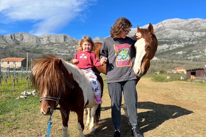 Private Horseback Riding and Family Time in Konavle Region - A gentle introduction for children