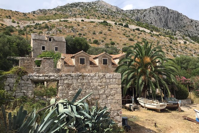 Private Hvar Island Tour and Olive Oil Tasting - The olive oil stop near Svirče