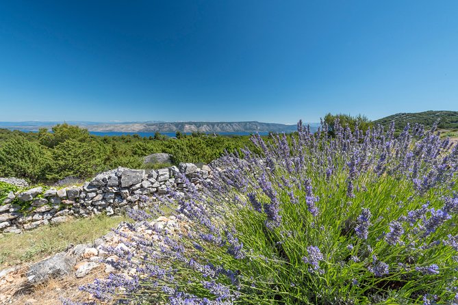 Private Hvar Wine Tasting Tour - What the guides add to the experience