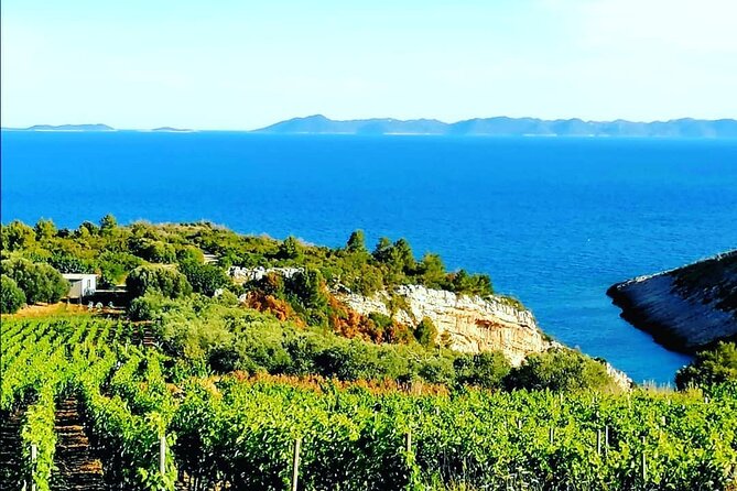 Private Korcula wine tour and tasting - Practical details before you book