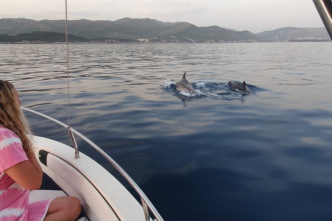 Private Local Guided Speedboat Tour in Dubrovnik Archipelago - What is included, and what costs extra