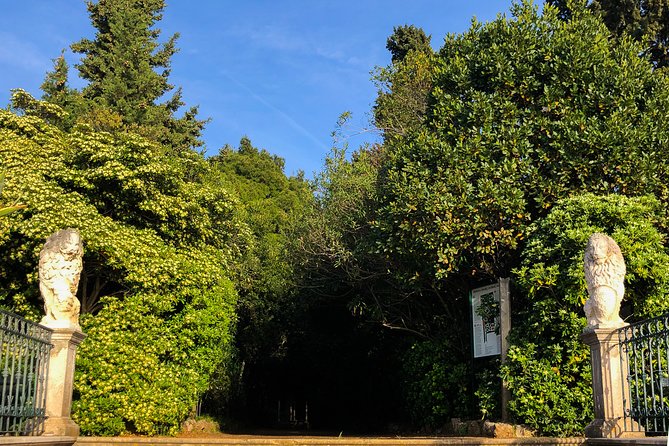 Private Lopud Walking Tour - Park Dordic Mayineri, the island’s park of love