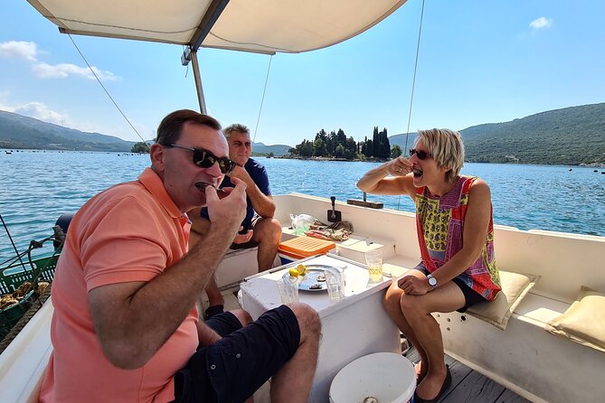 Private Oyster and Wine Tasting Day Trip along Peljesac - Matusko Winery and the serious red wines of Peljesac
