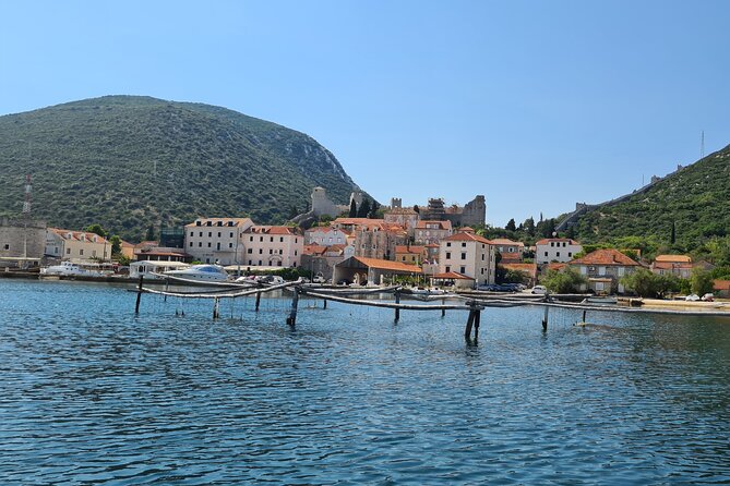 Private Oyster and Wine Tasting Day Trip along Peljesac - Timing, food, and what to bring