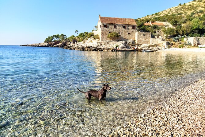 Private Speed Boat Tour of Hvar South Shore & Pakleni islands - What the captain adds to a private day