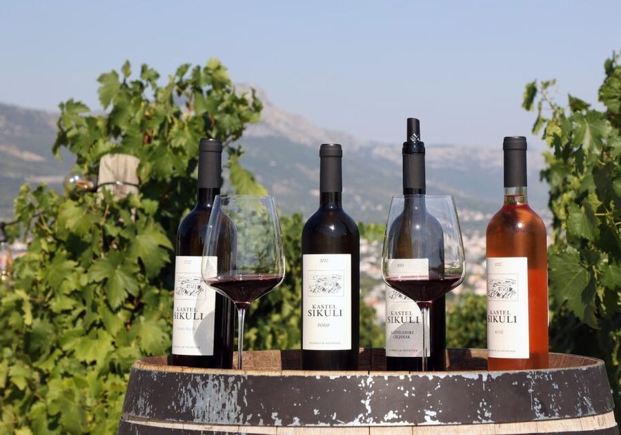 Private Split & Trogir Wine Tasting & Vineyard with Sea View - Guides who shape the day