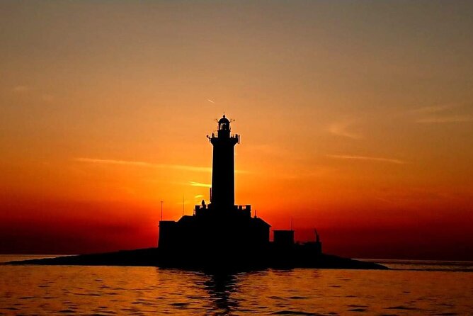 Private Sunset Dolphin Excursion with Dinner and Animation - Dinner choices, drinks, and portion size