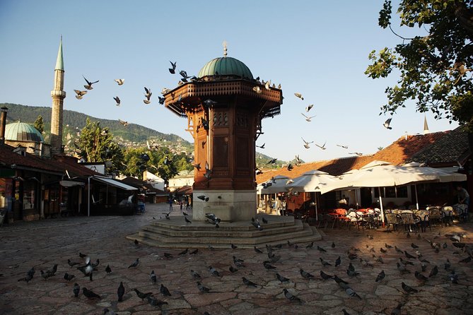 Private Tour: Sarajevo Day Trip from Dubrovnik - Who should book this Sarajevo day trip?