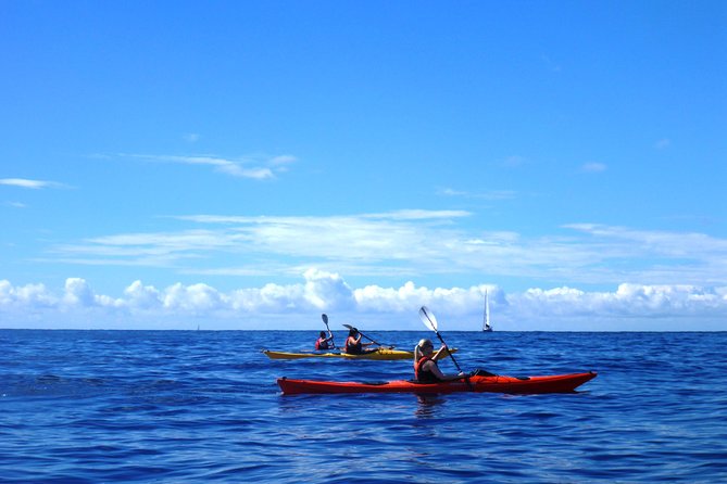 Private tour: Sea Kayaking & Snorkeling to Green Cave on Sipan island from Lopud - Lunch and a break in Sudurad