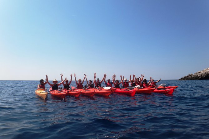 Private tour: Sea Kayaking & Snorkeling to Green Cave on Sipan island from Lopud - What the private price means