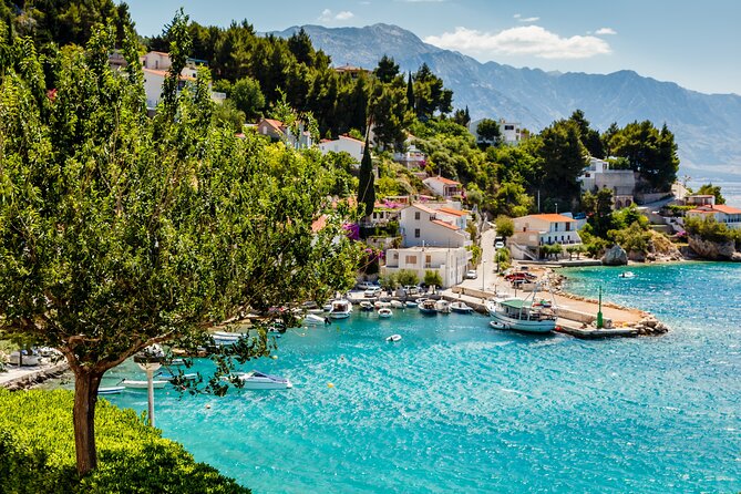 Private Transfer from Dubrovnik to Split with 2 hours for sightseeing - Rizman Winery: the scenic food and wine choice