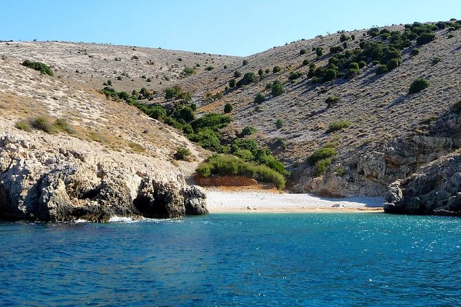 Private Wild Bays Boat Trip with Captain Bobo - Fox Bay, Bishop Bay, and the other wild coves