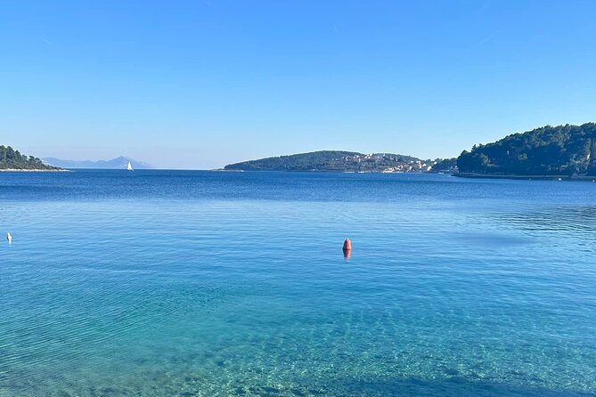 Private Wine and Gin Tour Around the Island of Korcula - OPG Komparak, where gin meets the farm