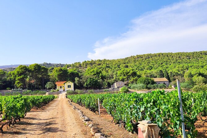 Private Wine and Gin Tour Around the Island of Korcula - Is $264.64 per person fair value?
