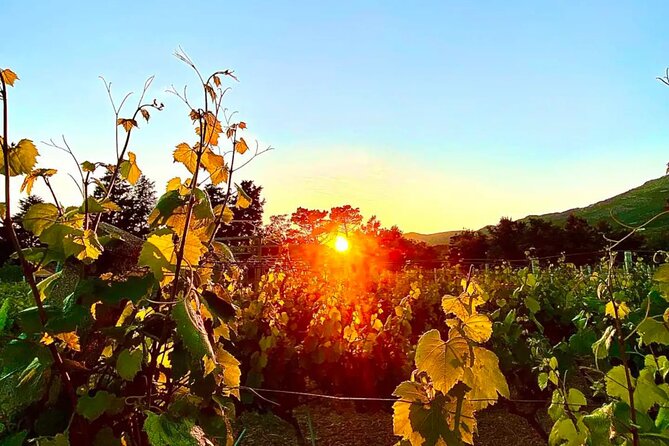Private Wine Tasting Under The Stars With Sunset Panorama - Four wines, four liqueurs, and a Croatian food pairing