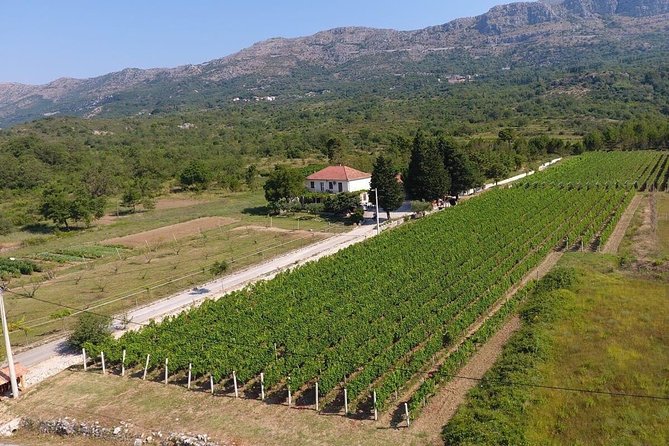 PRIVATE Wine Tour to Konavle country side - Four homemade liqueurs with local character