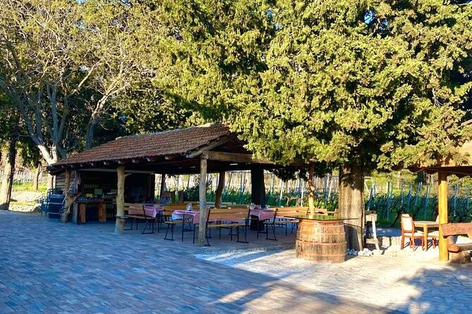 PRIVATE Wine Tour to Konavle country side - Extra viewpoints when the timing works