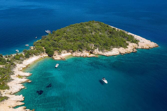 PUBLIC 5h Plavnik Island swimming & snorkeling Half-day Boat trip - Watching griffon vultures over Plavnik