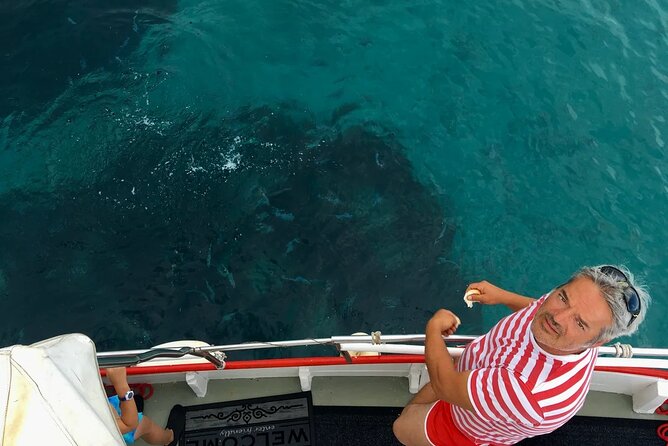 PUBLIC 5h Plavnik Island swimming & snorkeling Half-day Boat trip - What to bring for five hours on the water