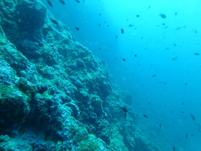 Pula: 2.5-Hour Snorkelling Experience - Practical advice before you board