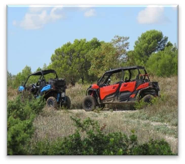 PULA AND ROVINJ: BUGGY FAMILY SAFARI 1, 2 & 4 H - Choosing between Rovinj and Barban near Pula
