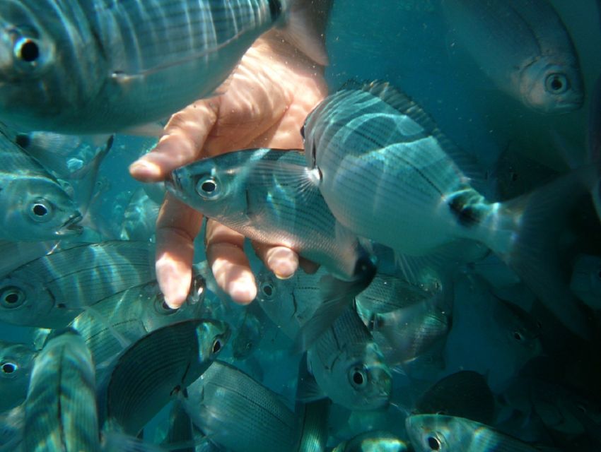 Pula: Bike Tour of Ancient Pula & Aquatic Adventures - Weather, safety, and practical timing