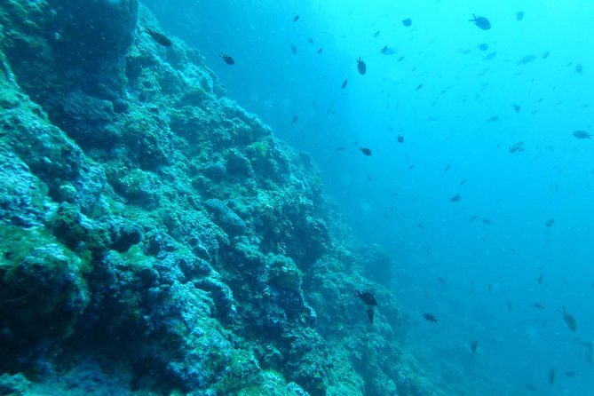 Pula Boat Trip with Snorkeling - Weather, timing, and the cancellation rule