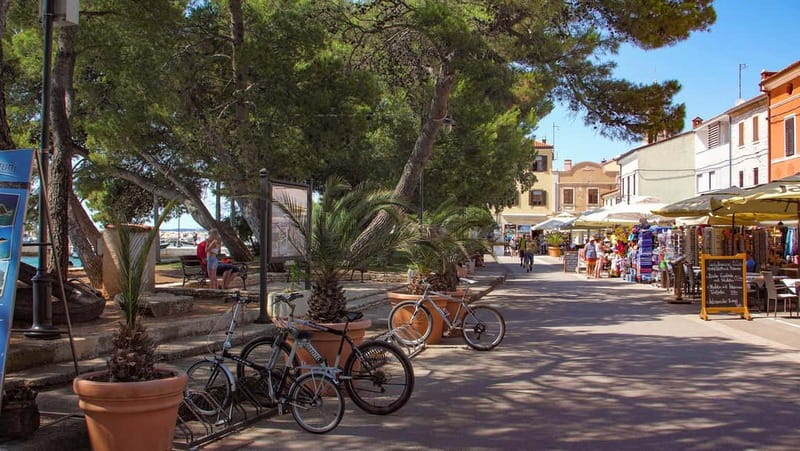 Pula: Brijuni National Park Cruise, Lunch and Fažana Beach - How the $62 price compares