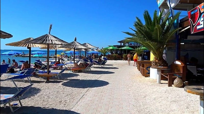Pula: Brijuni National Park Cruise, Lunch and Fažana Beach - The crew, guide, and onboard comfort