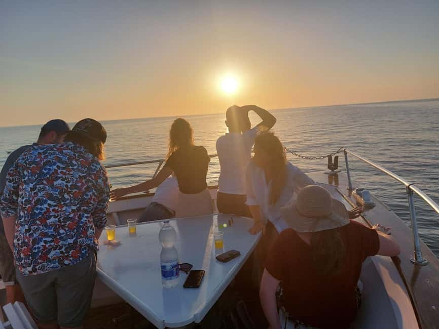 Pula: Brijuni National Park Dolphin Watching Tour w/Dinner - How the Three-Hour Route Unfolds