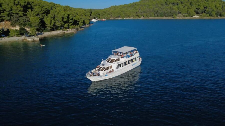 Pula: Brijuni National Park Dolphin Watching Tour w/Dinner - The Dolphin Search Is Worth Your Patience