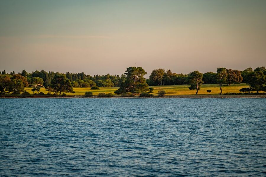 Pula: Brijuni National Park Sunset, Dolphins & Dinner Cruise - Cruising through Brijuni National Park