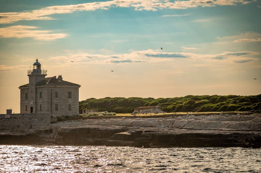 Pula: Brijuni National Park Sunset, Dolphins & Dinner Cruise - Dinner from the small onboard galley