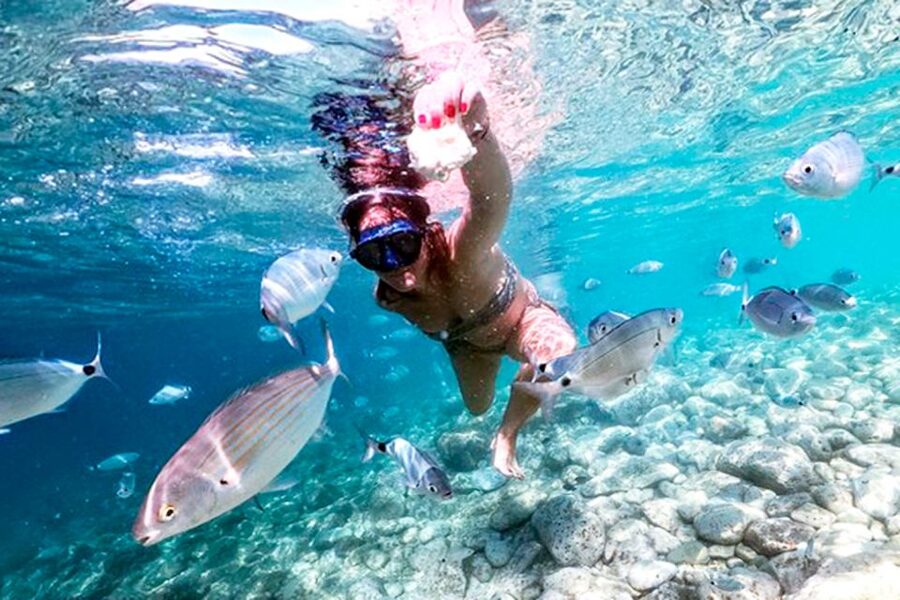 Pula: Brijuni National Park Tour with Island Visit - Is $67 a fair price?