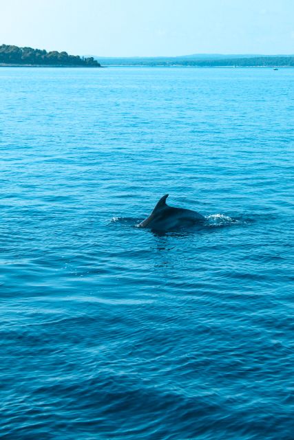 Pula: Brijuni Sunset Dolphin Cruise with Dinner & Drinks - Sailing toward all 14 Brijuni islands
