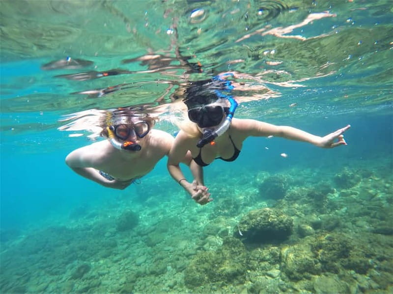 Pula: Cave Kayak Tour, Snorkeling and Island Jumping - Inside the pigeon cave