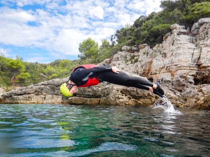 Pula: Coasteering Adventure with Guide and Photos - Intertidal life at eye level