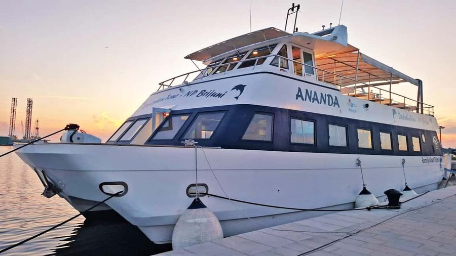 Pula: Dolphin Sunset Cruise to Brijuni with Dinner & Drinks - Dinner choices, drinks, and what to expect on the plate