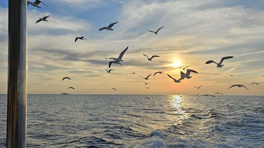 Pula: Dolphin Sunset Cruise to Brijuni with Dinner & Drinks - Sunset views toward Brijuni