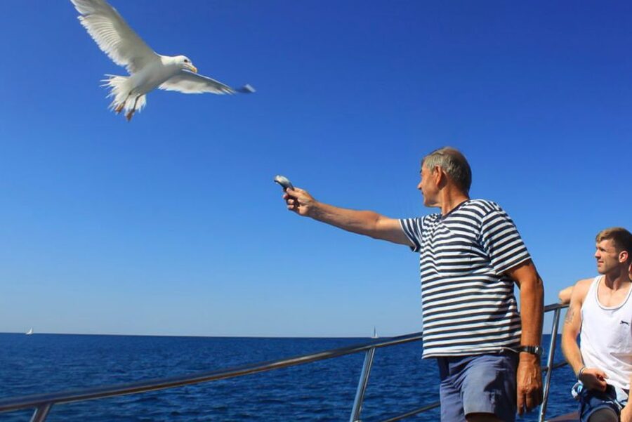 Pula: Dolphin Watching Sunset Cruise with Dinner & Drinks - Dinner choices while the sun goes down