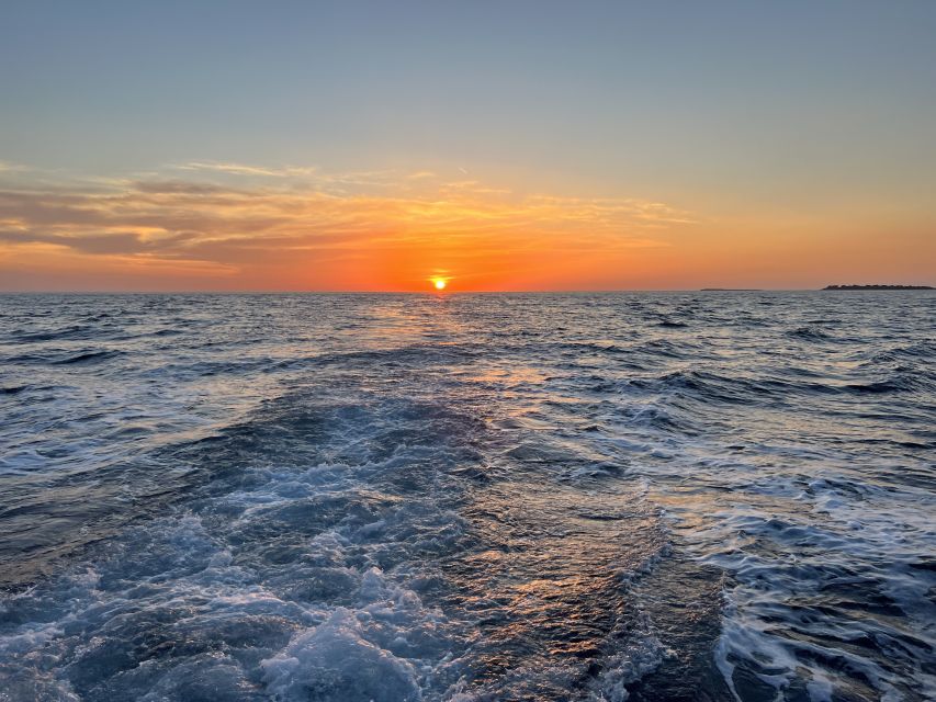Pula: Dolphin Watching Sunset Cruise with Dinner & Drinks - Who will enjoy Ariete most?