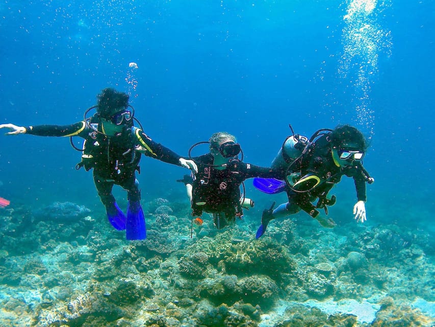 Pula: Introduction to Scuba Diving - Starting at Orca Diving Centre in Verudela